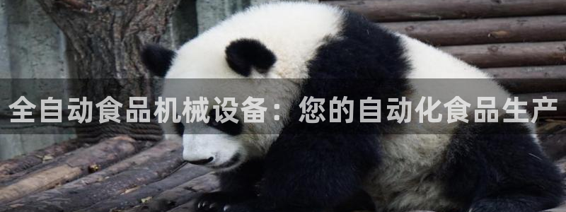 ag九游会官网网址