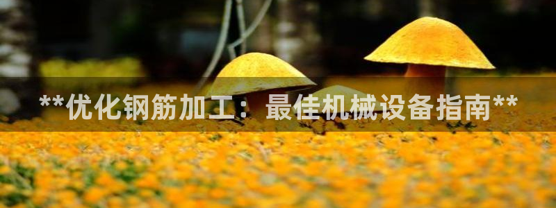 j9九游会老哥俱乐部客服