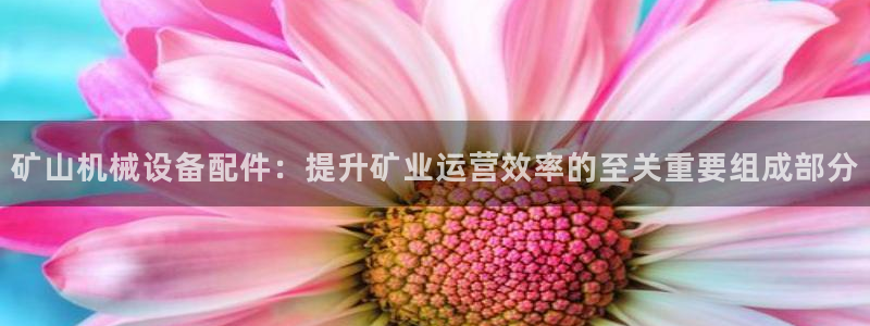 九游会ag首页