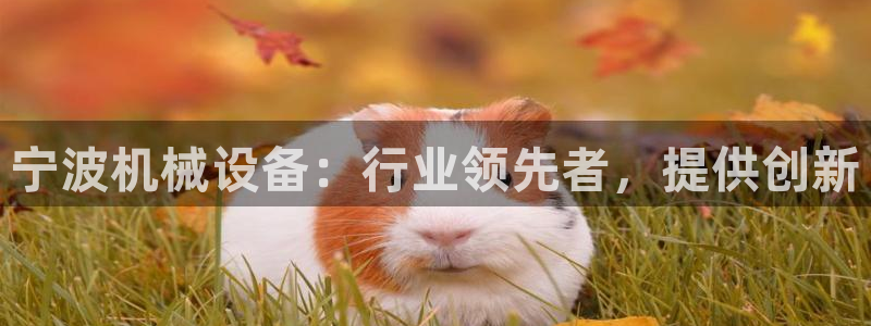 九游会a?g