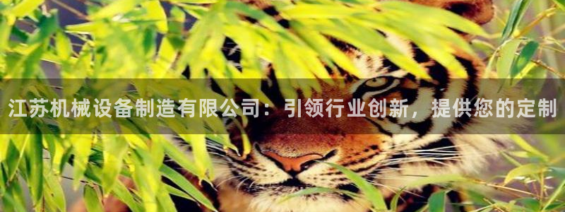 九游会ag官方网站在哪