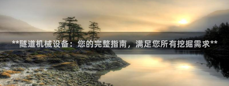九游会中国j9 09.ag