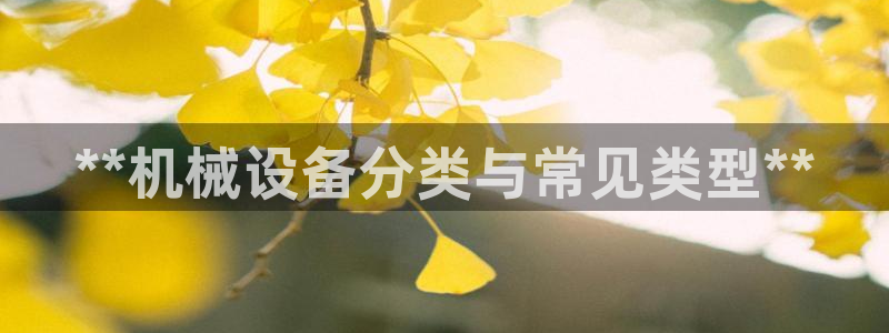 j9.cn