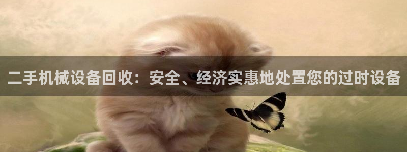 九游会6up