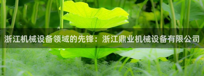 九游会提款快吗