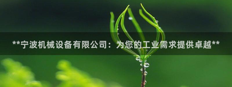 j9九游会网址是什么