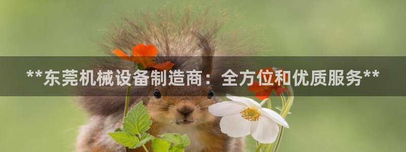 九游会 a g