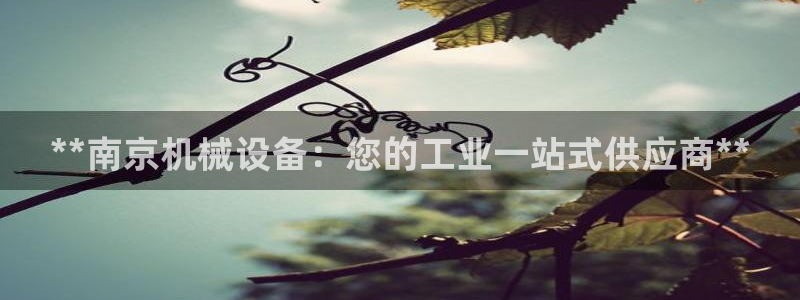 九游会官网进入口