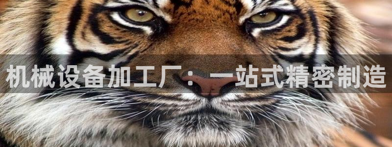 九游会最新线路