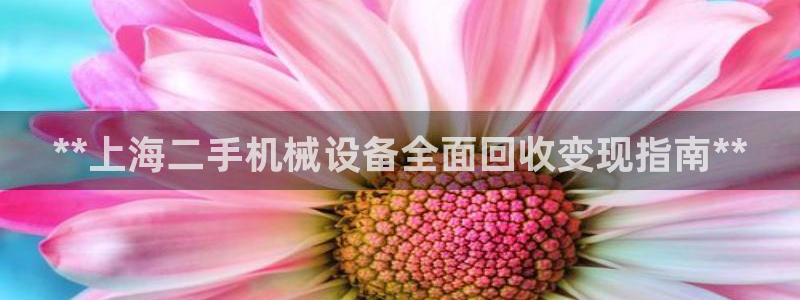 j9九游会直营