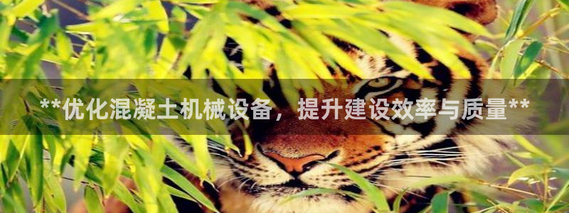 九游会在线官方网站下载吗
