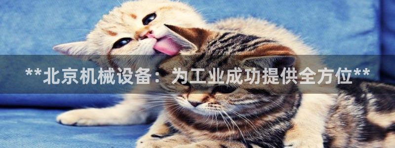九游会agapp