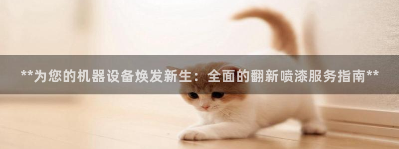 9游会j9