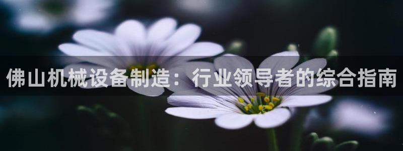 j9九游会永久域名