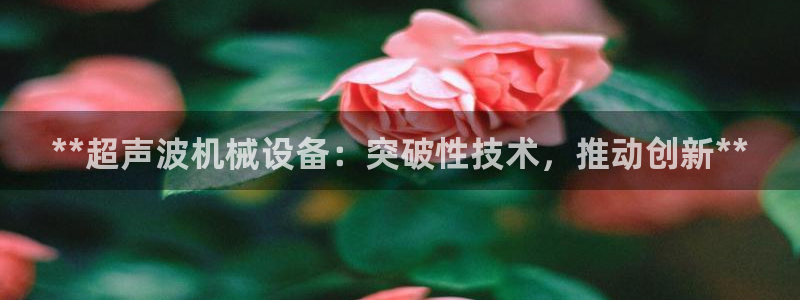 J9九游会试玩入口