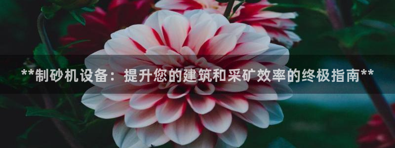 j9九游会不出款