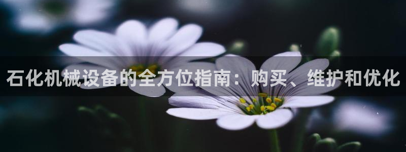 j9p下载
