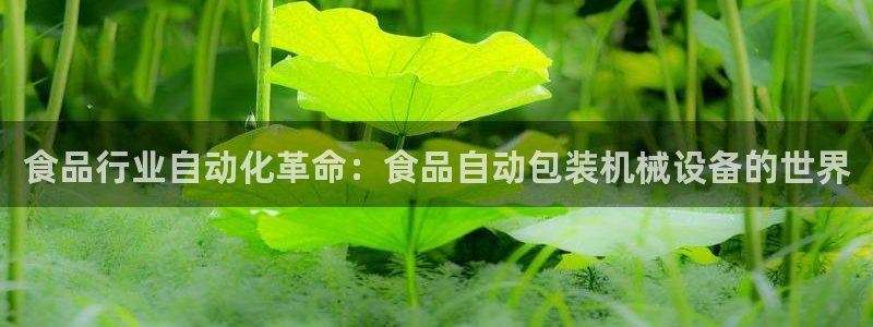 九游会软件