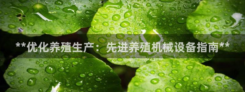 ag九游网