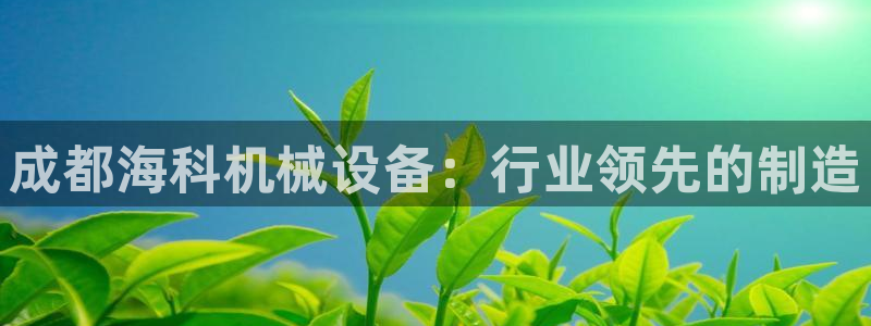 九游会官网ag旧版