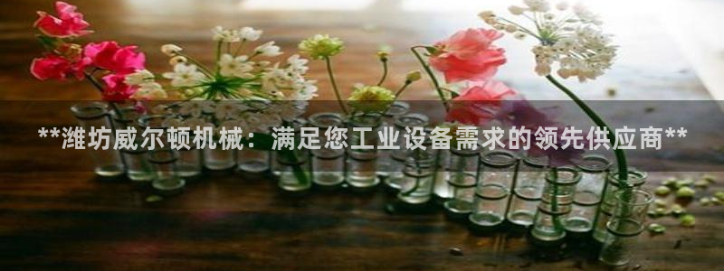 九游会app下载版官网正版安卓