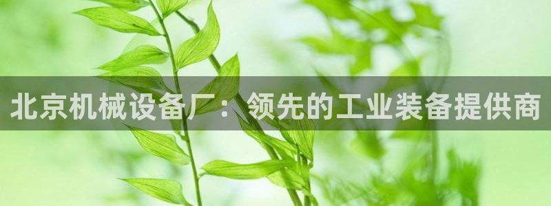 j9九游会最新版