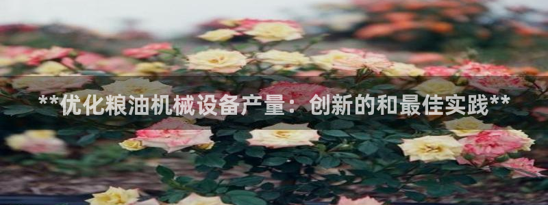 j9九游会怎么样