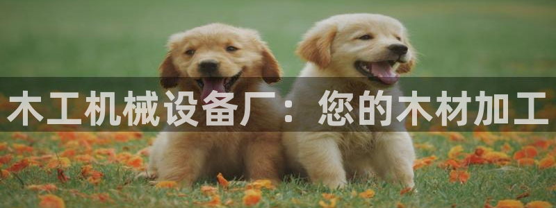 九游会集团币圈
