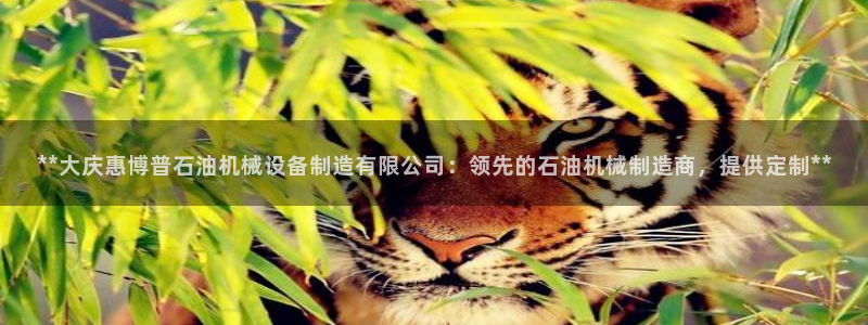 9游会ag