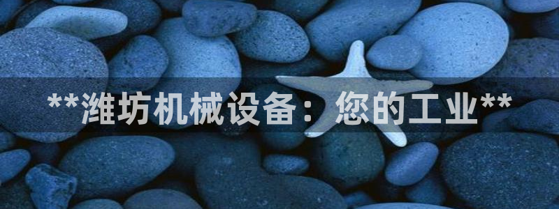 九游会网址多少