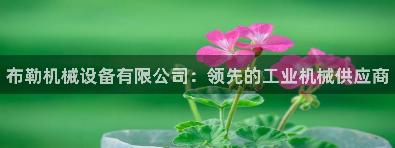 九游会集团网址