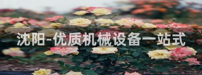 九游会登陆地址