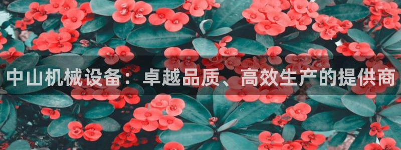 九游会 app