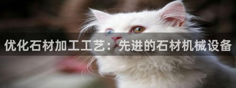 九游会网址最新