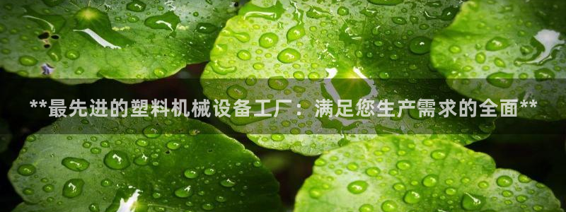 九游j9打不开