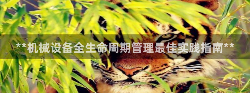 九游会是大平台吗