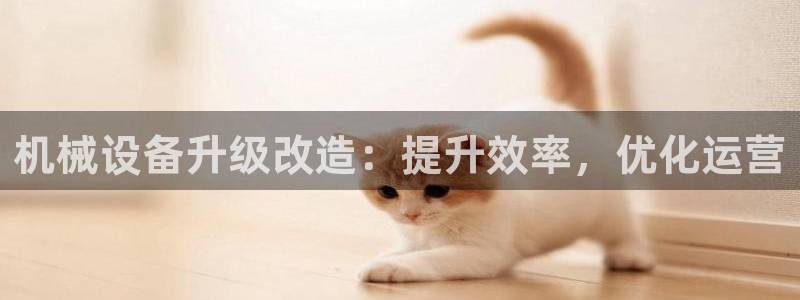 九游会视讯,九游会视讯厅