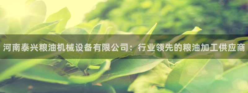 九游会视讯