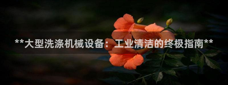 九游会平台怎么样