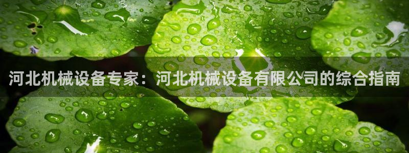 J9九游会登陆旧版