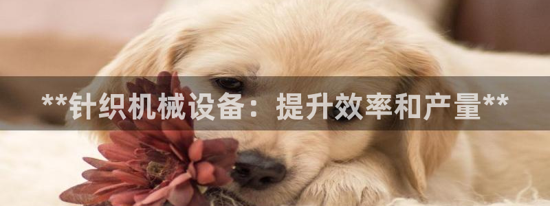 九游会官网真人游戏第一品牌