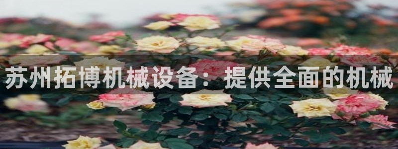 九游会是什么平台