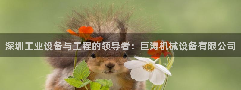 九游会 app下载