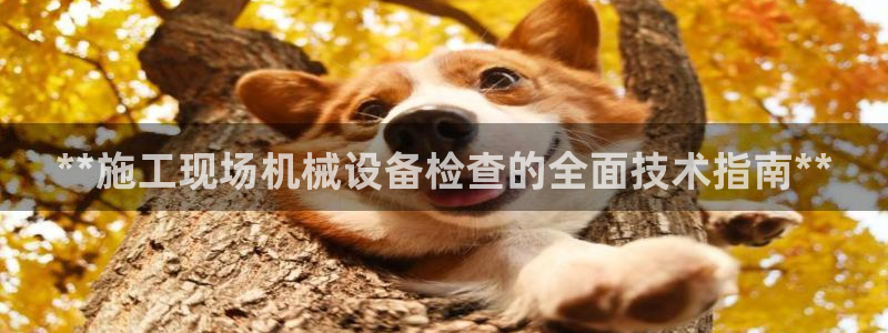九游会俱乐部