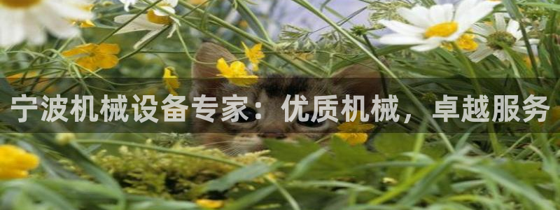 j9九游会游戏中国官方网站
