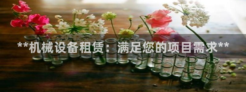 九游会官网真人认证吗