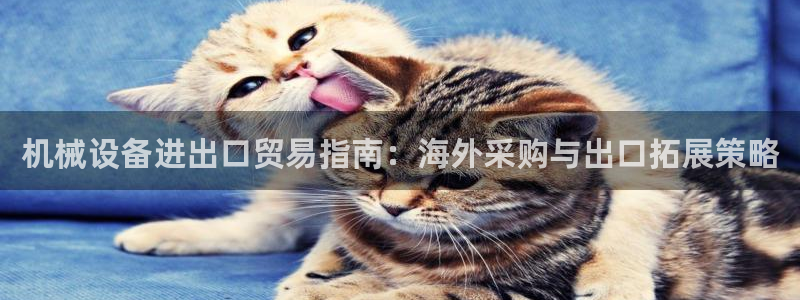 九游会国际厅