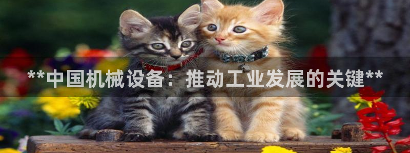 九游会登陆中心