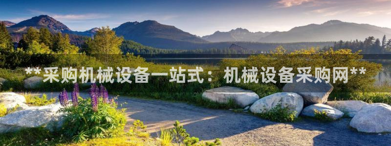 九游会最新线路