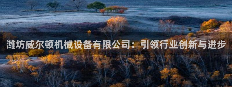 J9九游会国际站